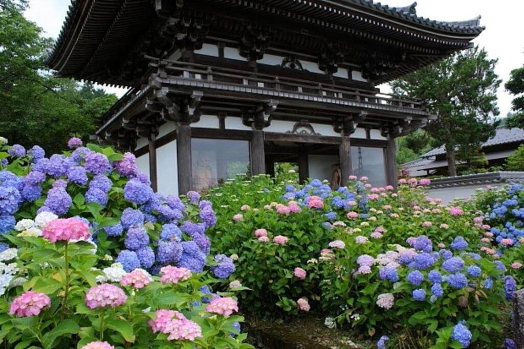 Sanzen Ya Kyoto さんぜんやきょうと- Cozy Art Space For Lover Of Travel - Exteriér fotografie