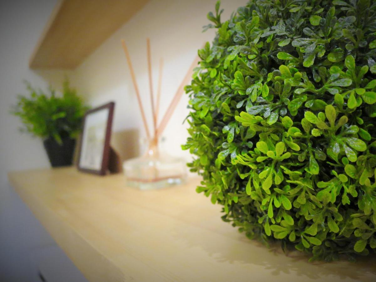 Sanzen Ya Kyoto さんぜんやきょうと- Cozy Art Space For Lover Of Travel - Exteriér fotografie