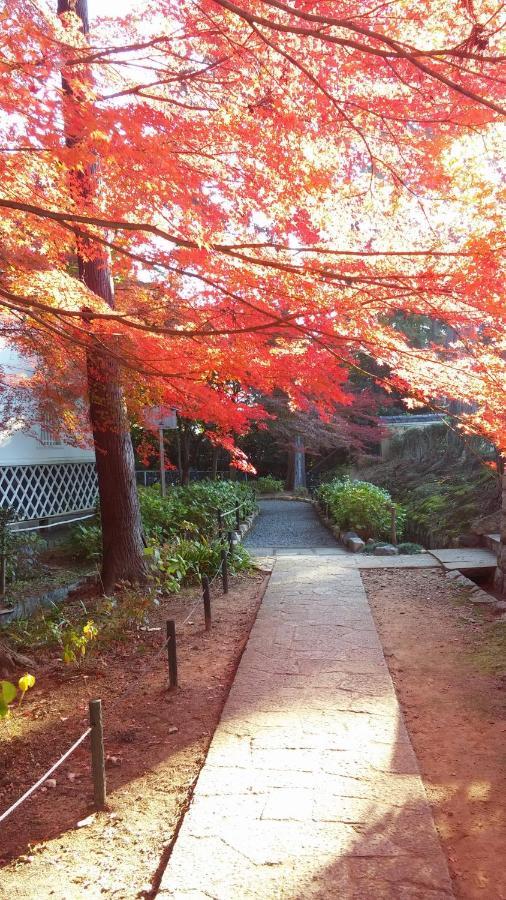 Sanzen Ya Kyoto さんぜんやきょうと- Cozy Art Space For Lover Of Travel - Exteriér fotografie