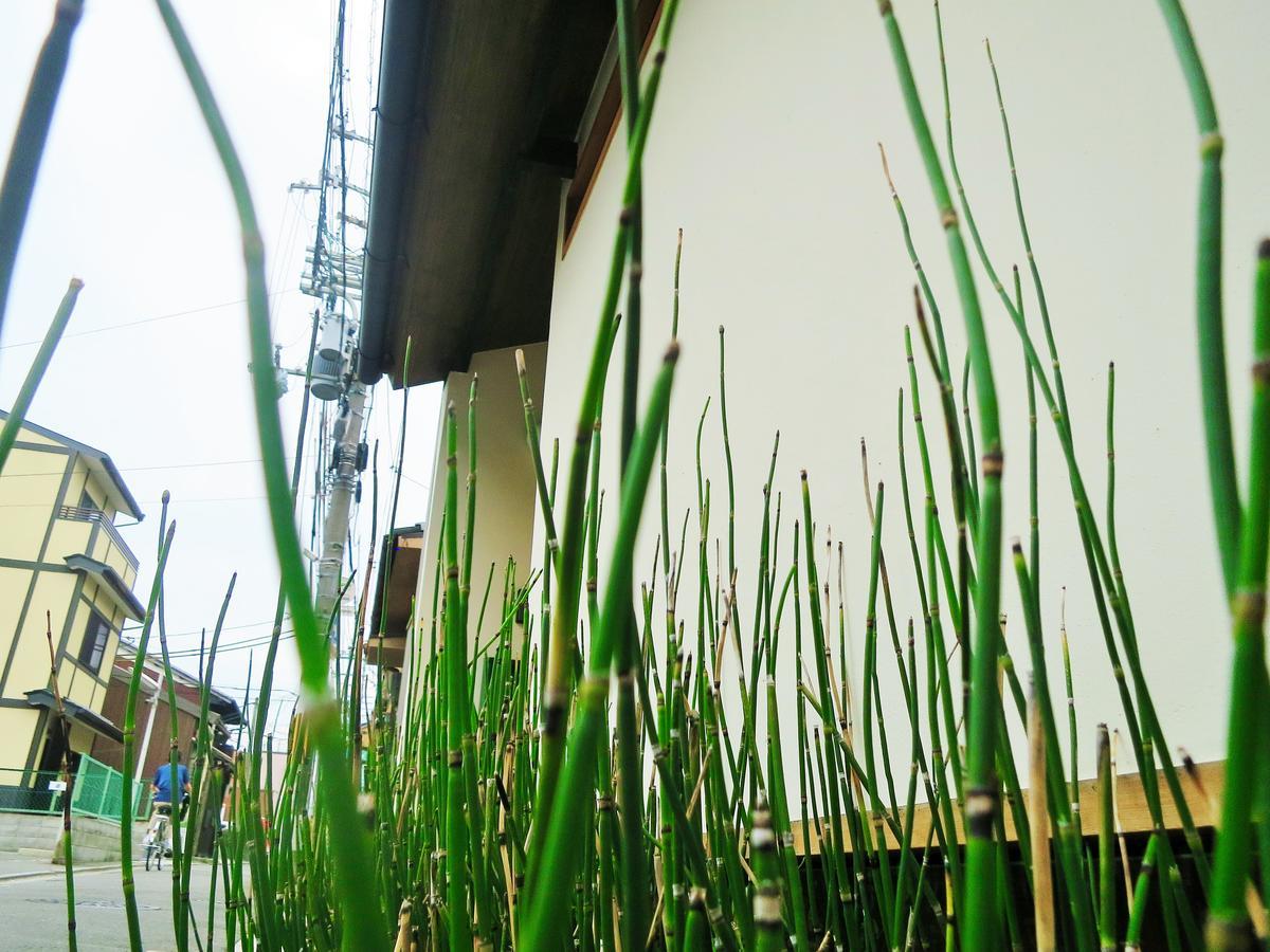 Sanzen Ya Kyoto さんぜんやきょうと- Cozy Art Space For Lover Of Travel - Exteriér fotografie